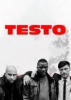 Тестостерон 1-2 сезон