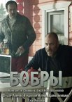 Бобры