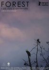 Лес: Вижу тебя повсюду
