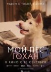 Мой пёс Гохан