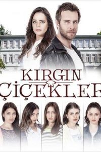 Обиженные цветы 1-3 сезон