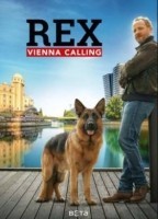 Комиссар Рэкс: Перезапуск 1 сезон