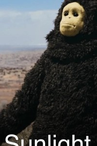 Солнечный свет