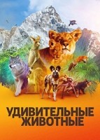 Удивительные животные 1 сезон