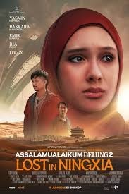 Ассаламу алейкум, Пекин 2: Заблудившиеся в Нинся